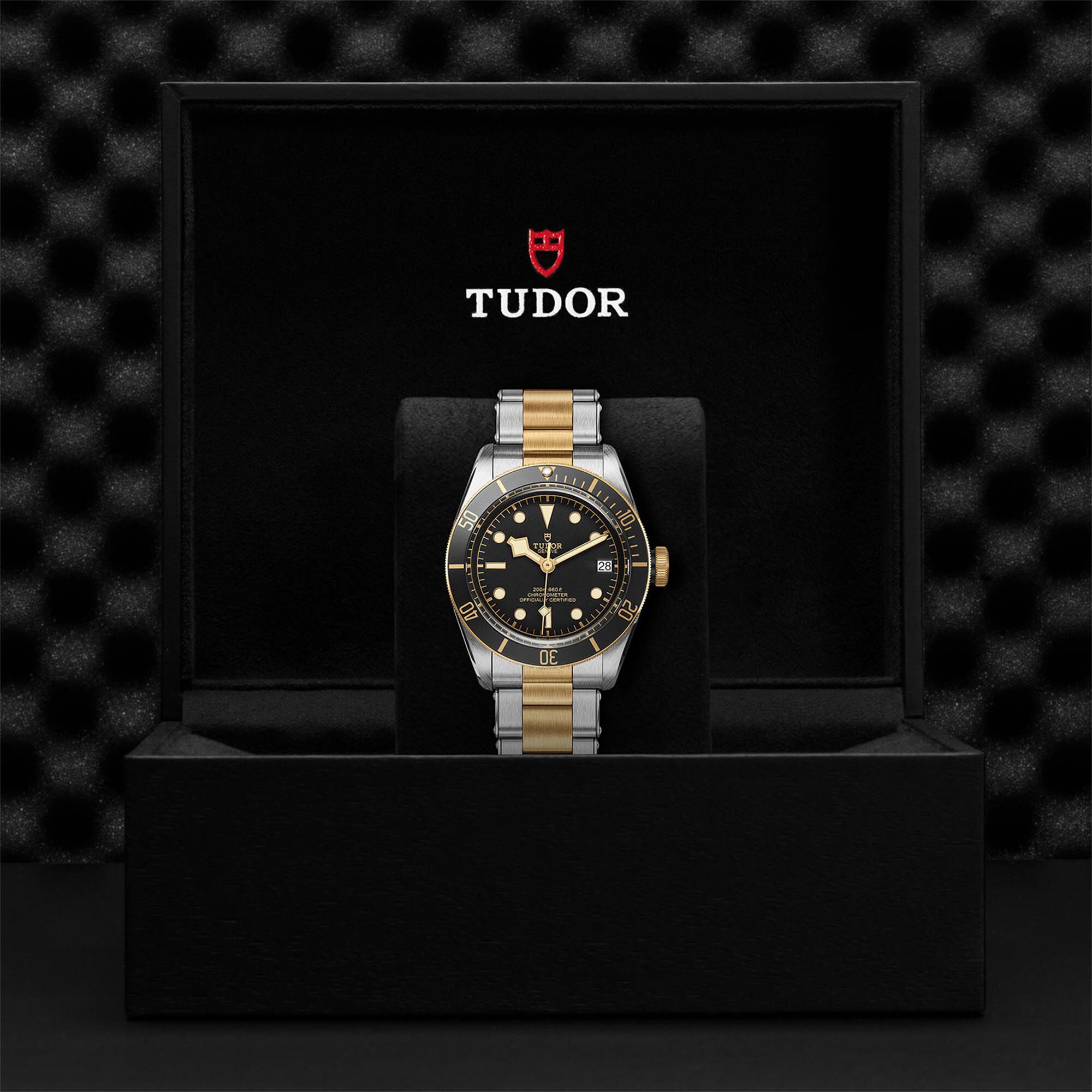 Tudor | Black Bay S&G | M79733N-0008 | Maison Birks
