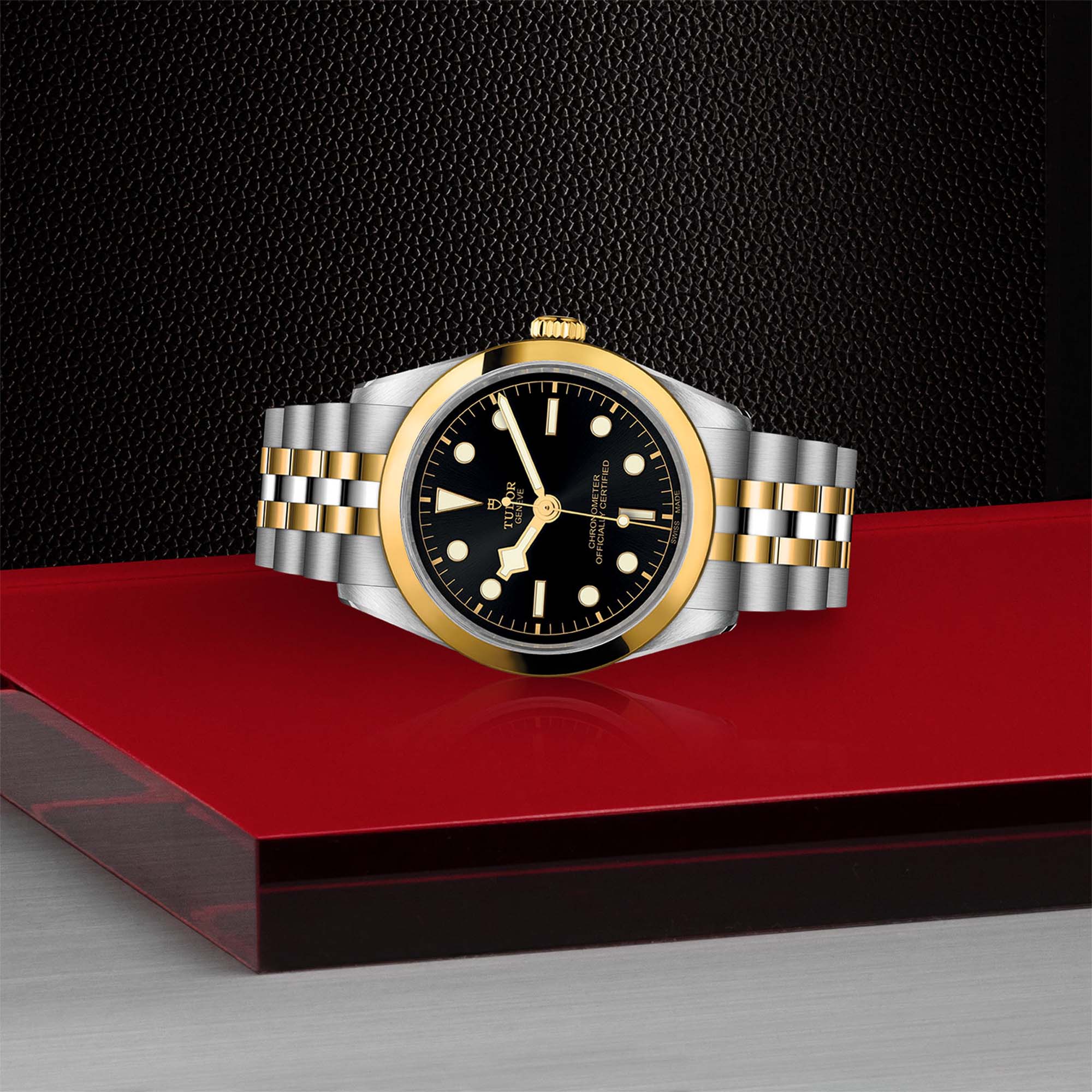 Tudor black bay 36 two online tone